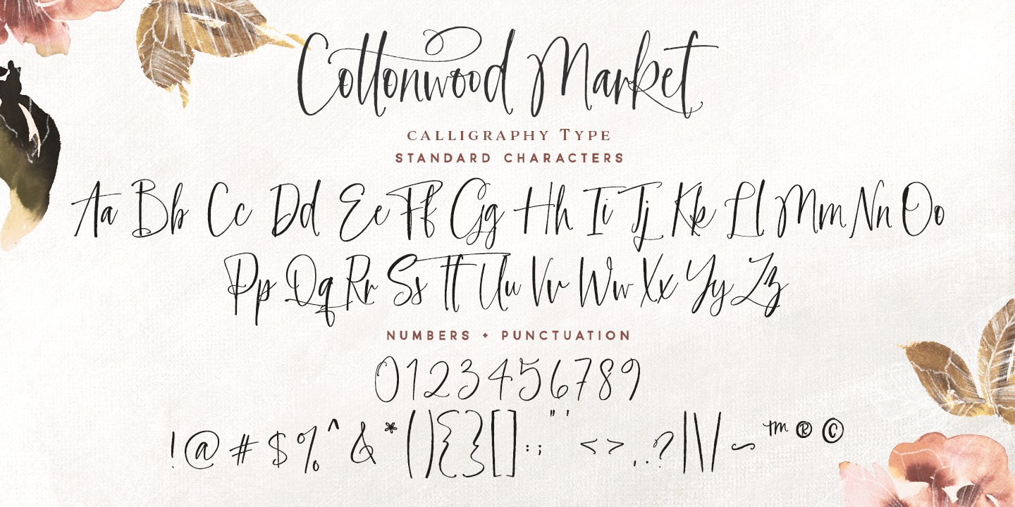 Example font Cottonwood Market #5